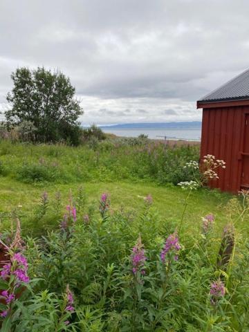 Bestemorhuset Kariel Esterno foto
